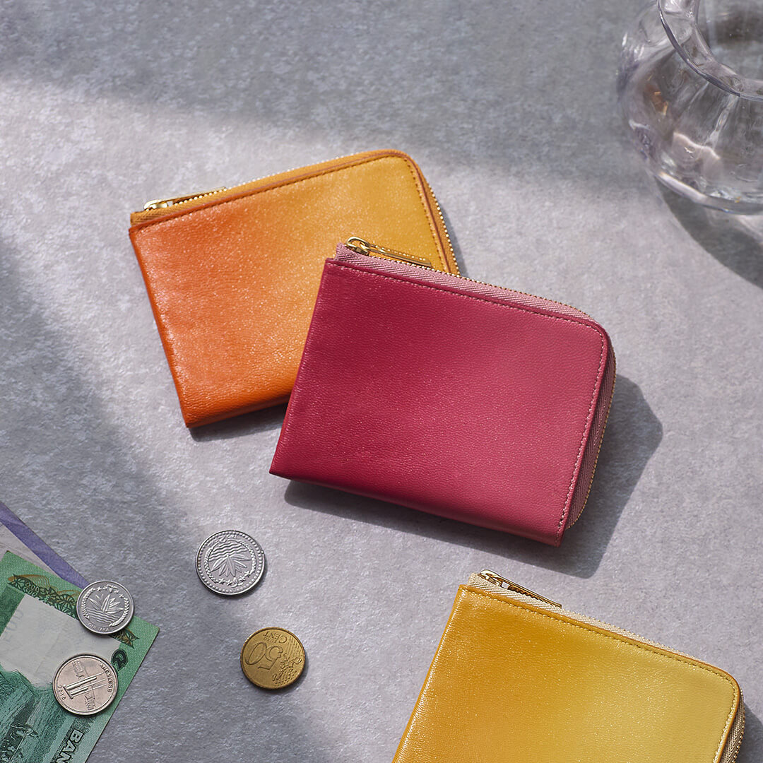 Irodori Bill Coin Case
