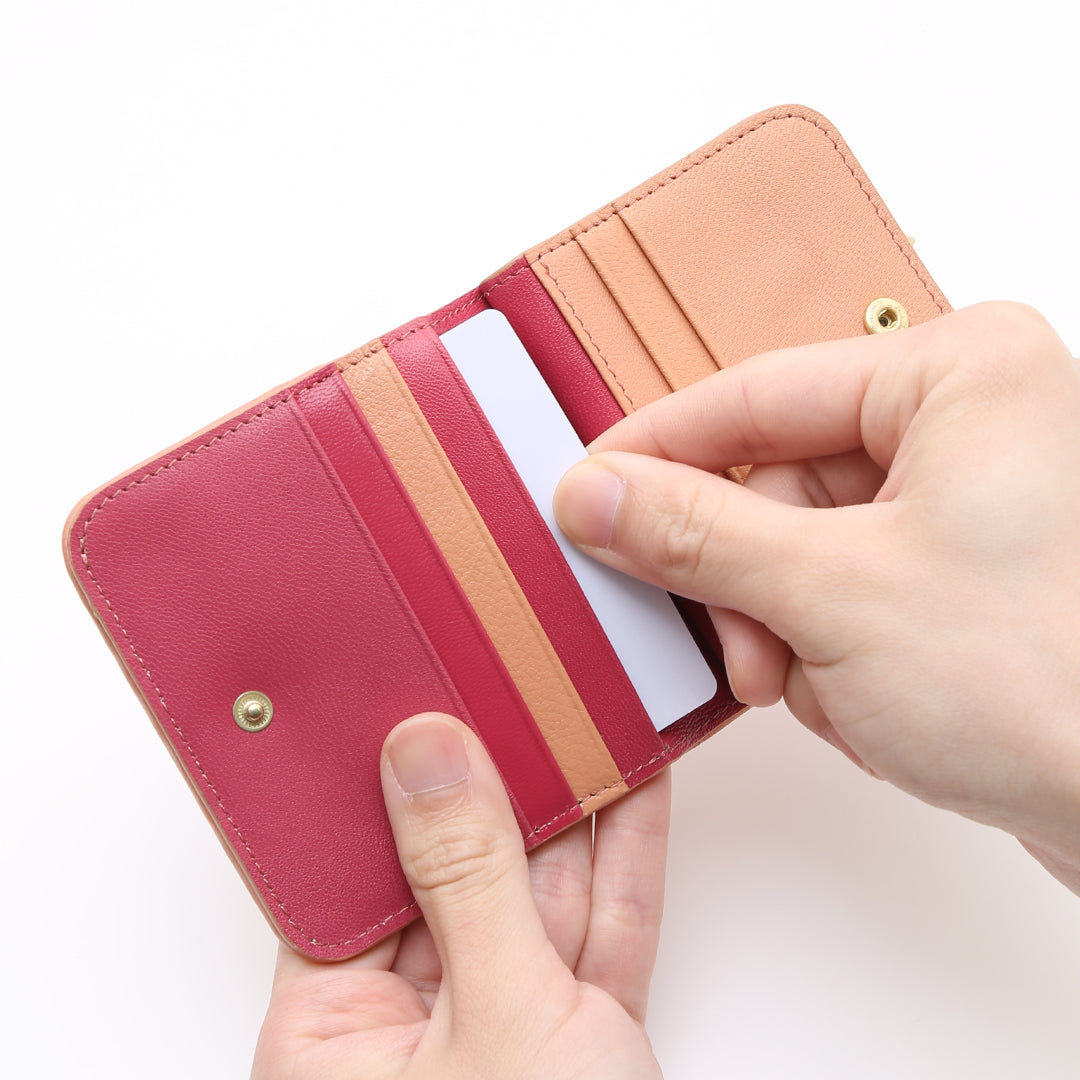 Irodori Mesh Wallet