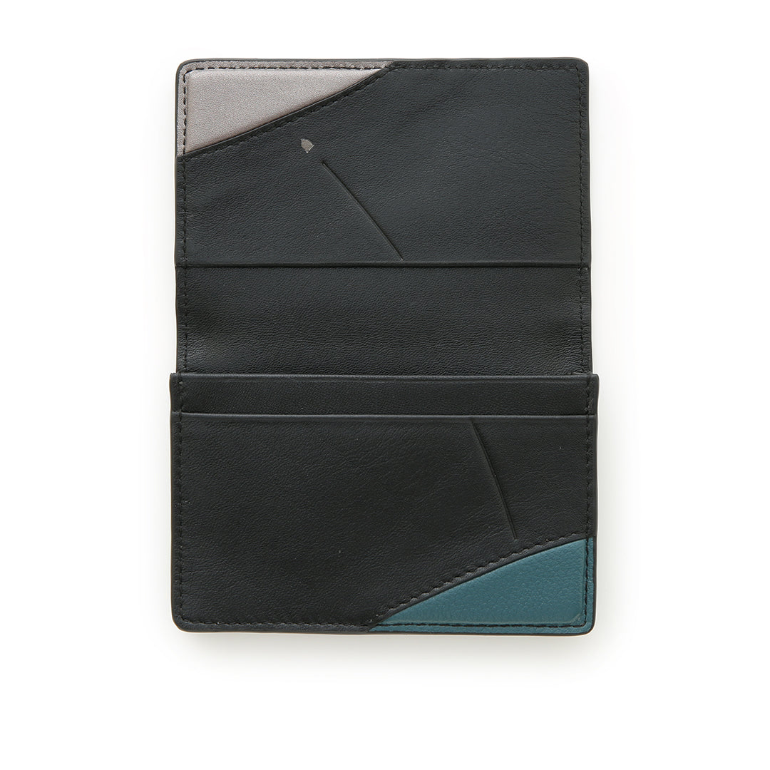 Earth & Moon Card Case