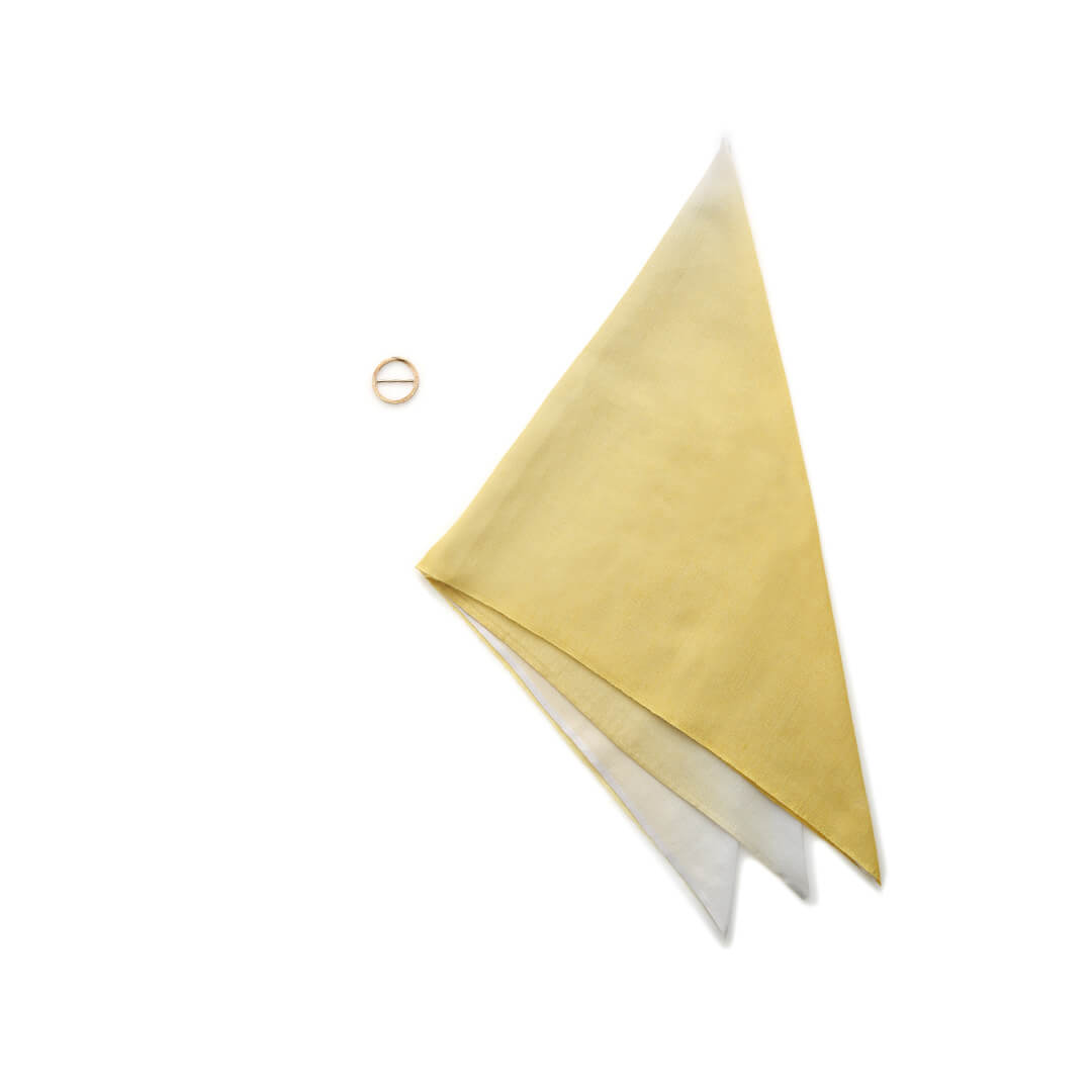 Cashmere Silk Scarf with Ring